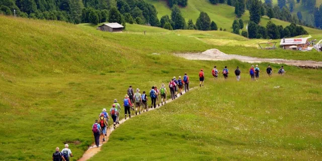 Activ Provence