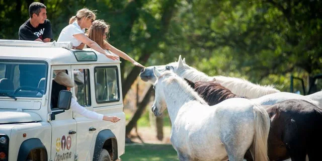 La Camargue autrement en 4X4 ou en vélo électrique