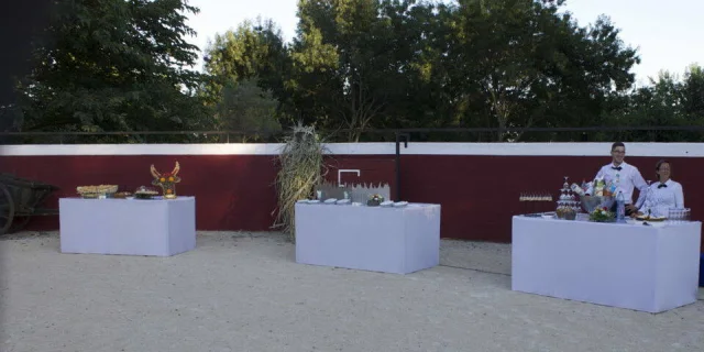 Manade Fernay - Mas des Jasses de la Ville - Arles Camargue