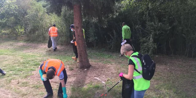 Nettoyer la Forêt