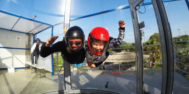 Simulateur de Chute Libre